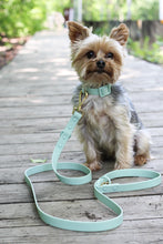 Charger l'image dans la galerie, Collier Mint