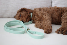 Charger l'image dans la galerie, Laisse multifonctionnelle