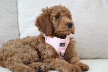 Charger l'image dans la galerie, Harnais