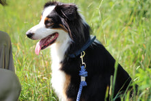 Charger l'image dans la galerie, Colliers