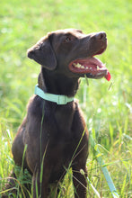 Charger l'image dans la galerie, Collier Mint