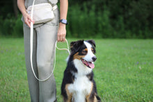 Charger l'image dans la galerie, Laisse 3 en 1