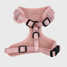 Charger l'image dans la galerie, Harnais