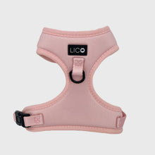 Charger l'image dans la galerie, Harnais