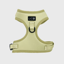 Charger l'image dans la galerie, Harnais