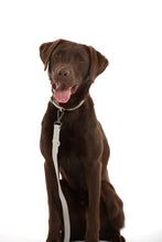 Charger l'image dans la galerie, Colliers