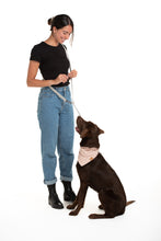 Charger l'image dans la galerie, Laisse multifonctionnelle