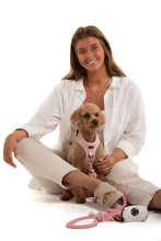Load image into Gallery viewer, Combo harness + pouch for dog - COTTON CANDY