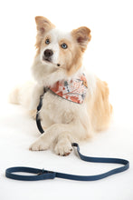 Charger l'image dans la galerie, Laisse multifonctionnelle