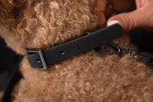 Charger l'image dans la galerie, Colliers