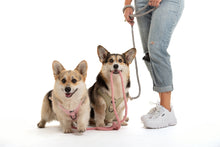 Charger l'image dans la galerie, Harnais