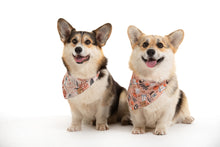 Charger l'image dans la galerie, Bandana réversible - PUMPKIN SPICE