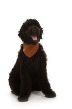 Charger l'image dans la galerie, Bandana réversible - PUMPKIN SPICE