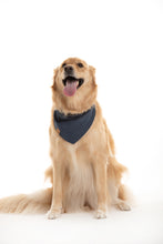 Charger l'image dans la galerie, Bandana réversible - SWEATER WEATHER