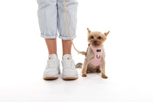 Charger l'image dans la galerie, Harnais