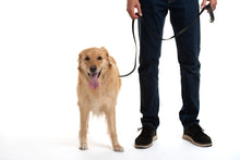 Charger l'image dans la galerie, Laisse multifonctionnelle