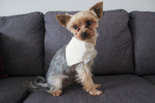 Charger l'image dans la galerie, Bandana réversible - FLEURIE