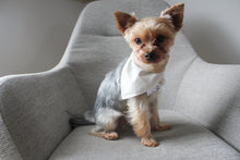 Charger l'image dans la galerie, Bandana réversible - NATUREL