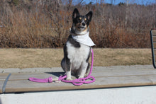 Load image into Gallery viewer, Cotton rope leash - LEXIE
