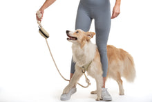 Load image into Gallery viewer, Combo Harness + pouch for dog - KIWI
