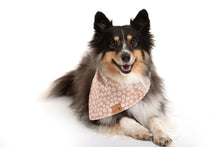 Load image into Gallery viewer, Reversible bandana - AUTUMN BLESSINGS
