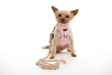 Load image into Gallery viewer, Combo harness + pouch for dog - COTTON CANDY
