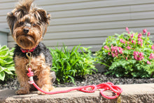 Load image into Gallery viewer, Cotton rope leash - DAIQUIRI
