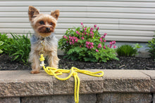 Load image into Gallery viewer, Cotton rope leash - LIMONCELLO
