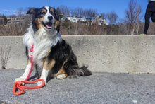 Load image into Gallery viewer, Cotton rope leash - OMBRÉ SPRITZ
